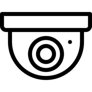 Surveillance Icon